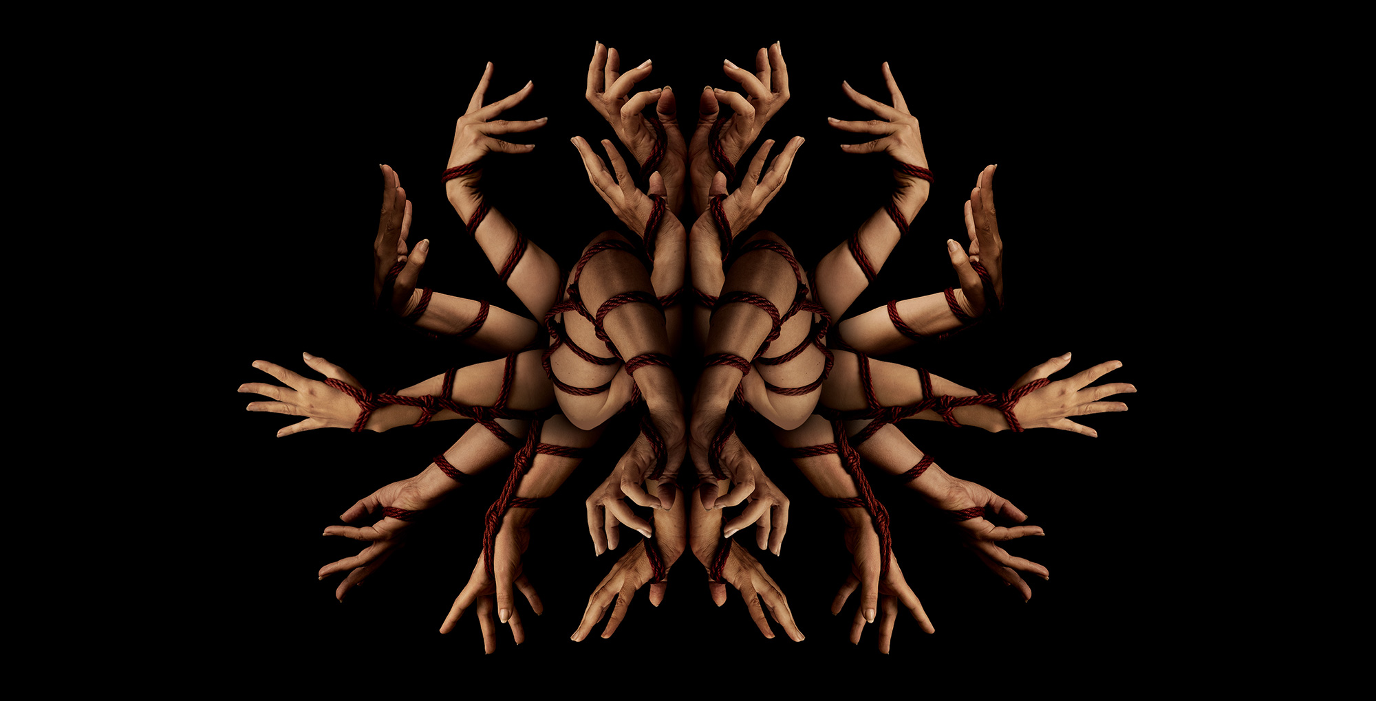 CHIM003-Lotus-in-ropes